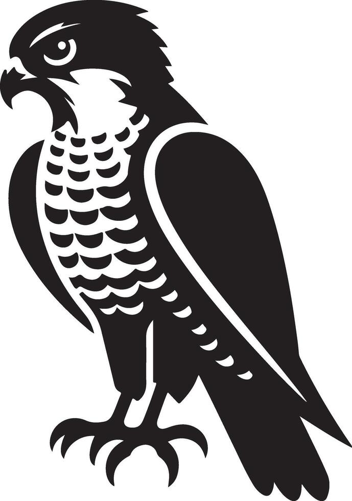 goshawk art Illustration vector