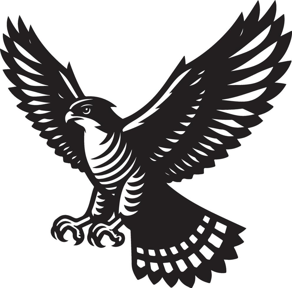 goshawk art Illustration vector