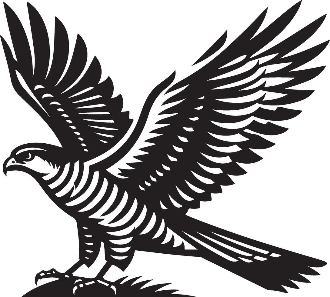 goshawk art Illustration vector