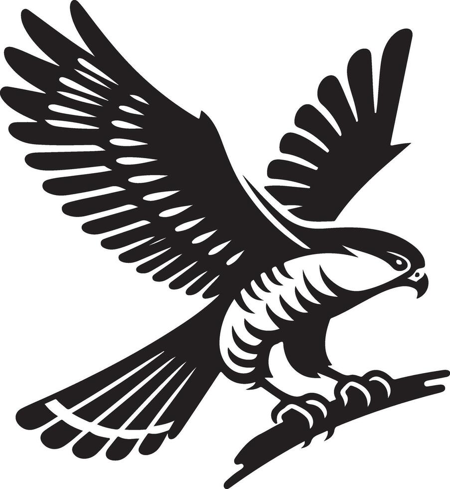 goshawk art Illustration vector