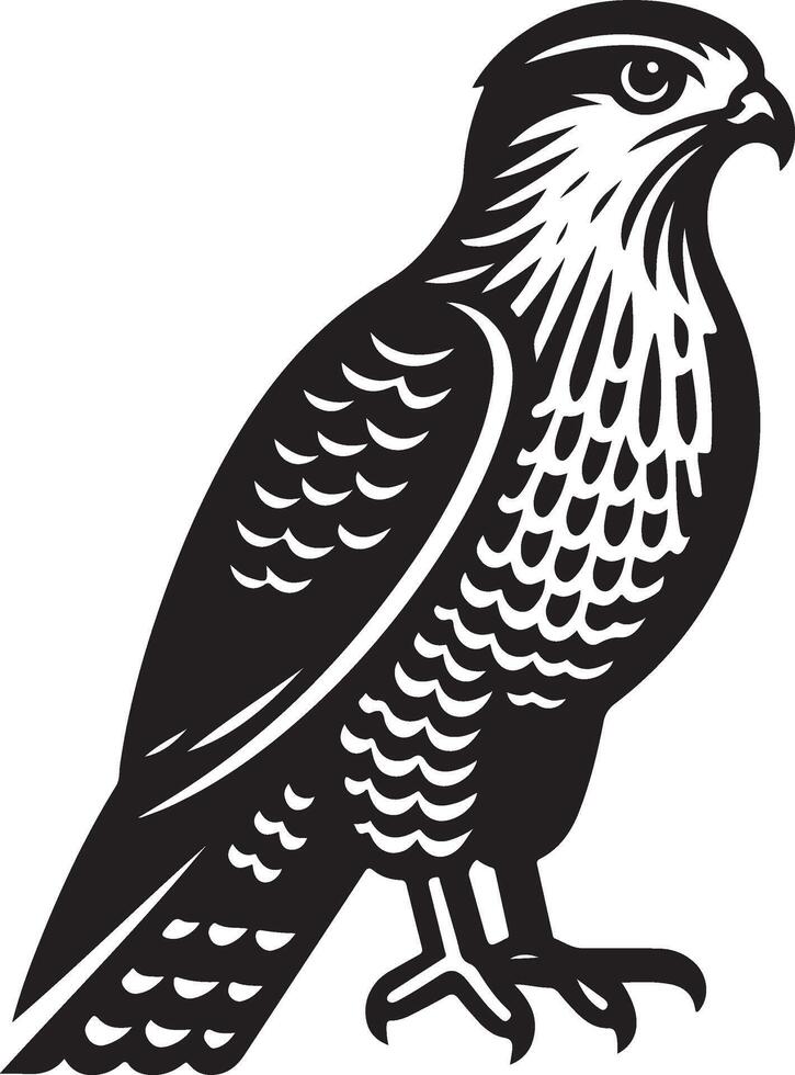 goshawk art Illustration vector