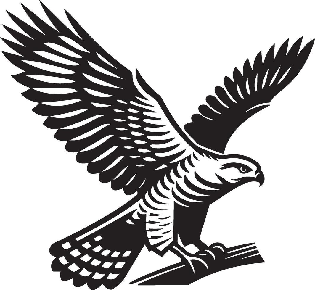 goshawk art Illustration vector
