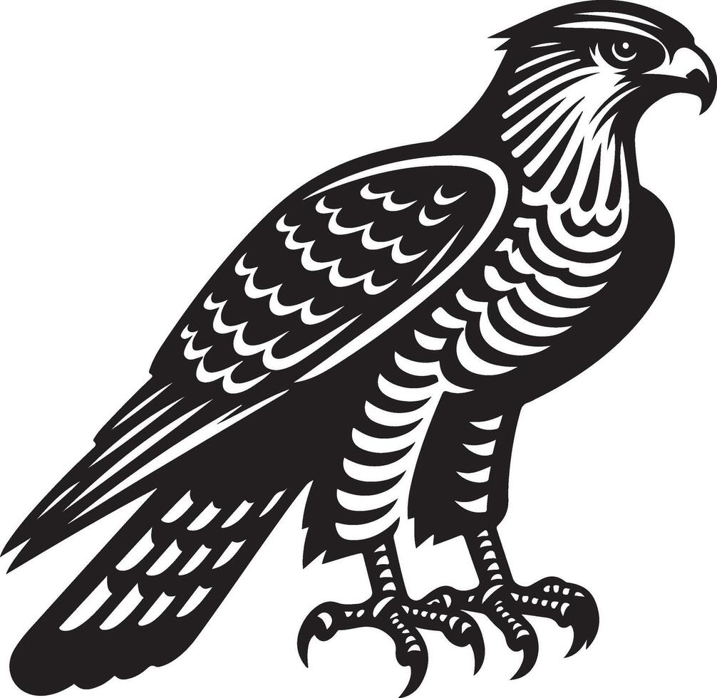 goshawk art Illustration vector