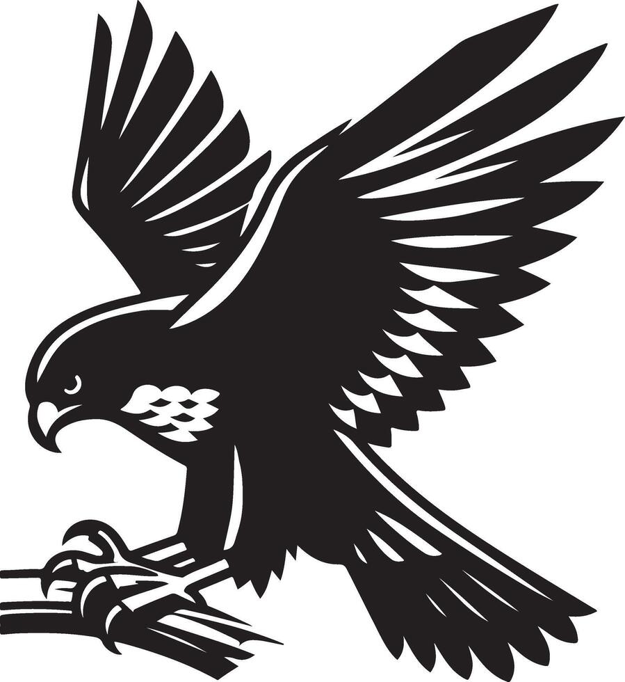 goshawk art Illustration vector