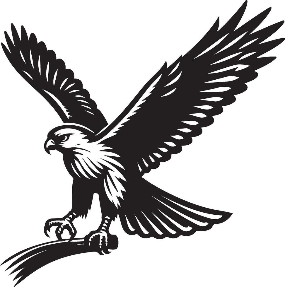 goshawk art Illustration vector
