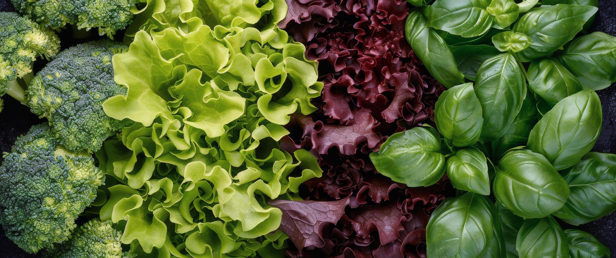 Close Up of Various Vegetables photo