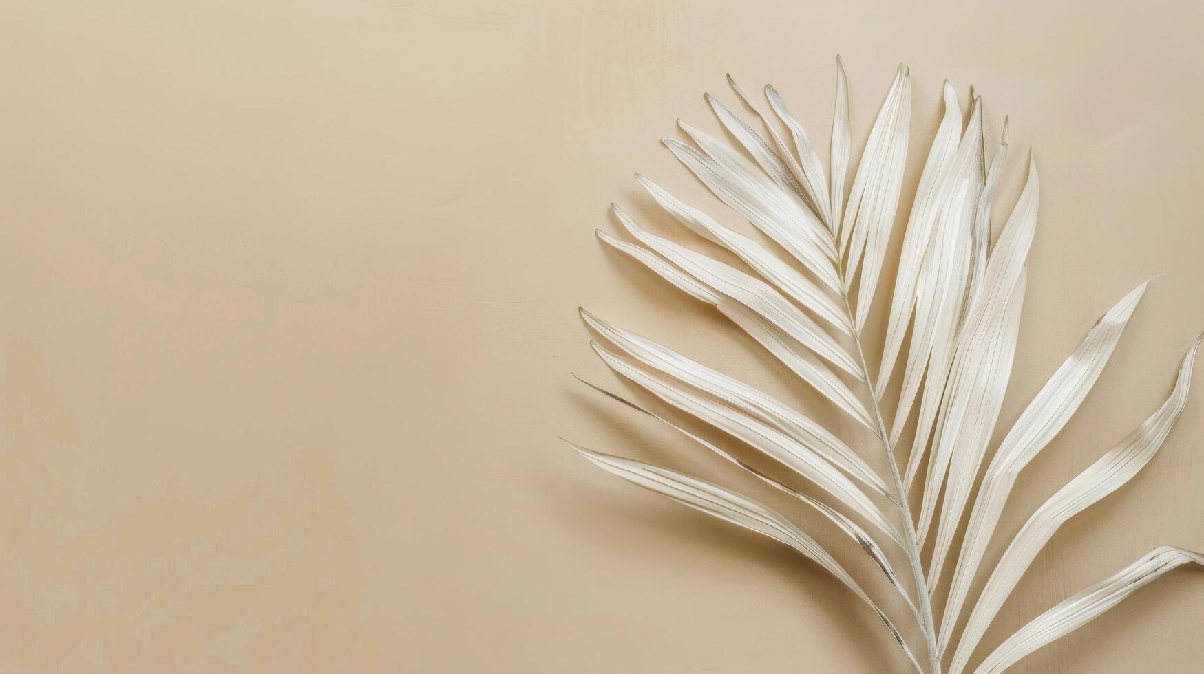 Close Up of a Paper Palm Leaf photo