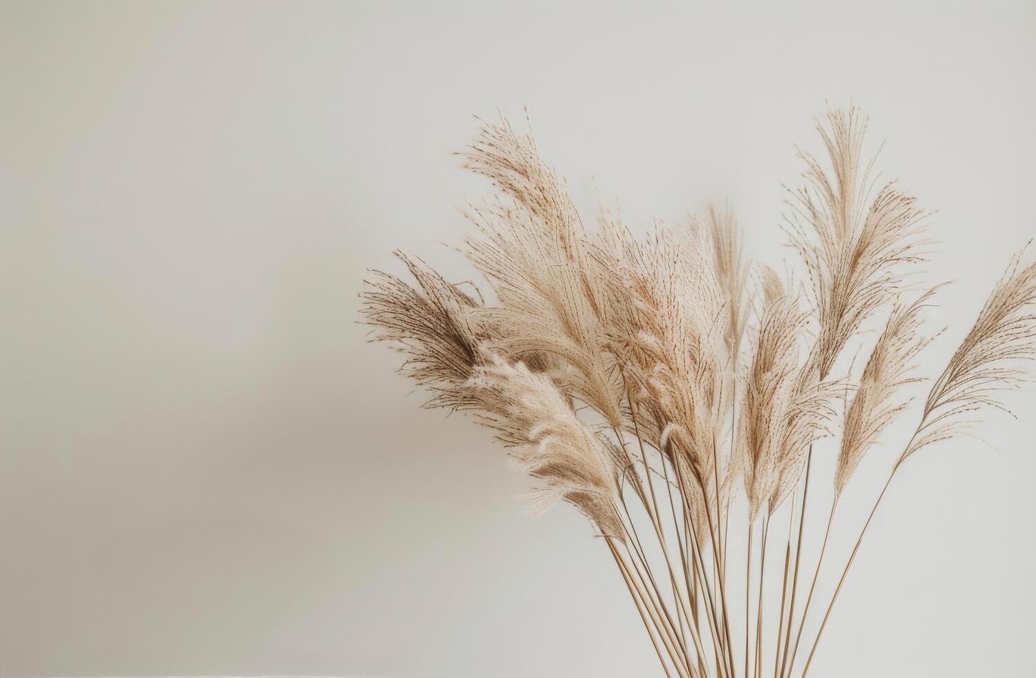 Close Up of Vase With Plant photo