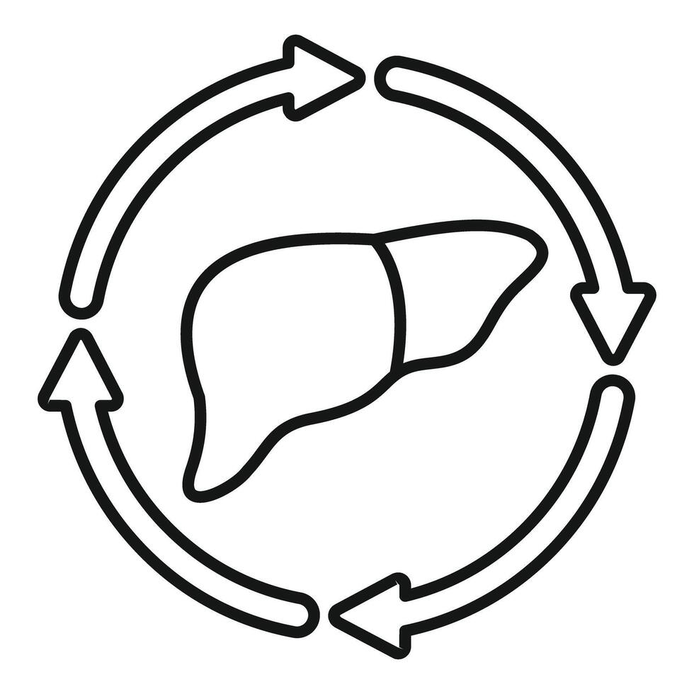 Simple line icon representing the process of liver regeneration and repair vector