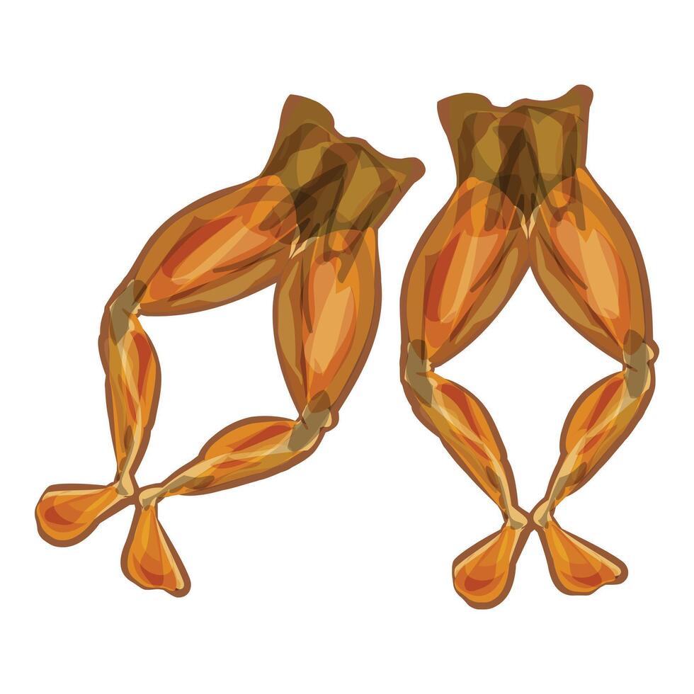 Digital illustration of two golden smoked salmon fillets with vibrant colors vector