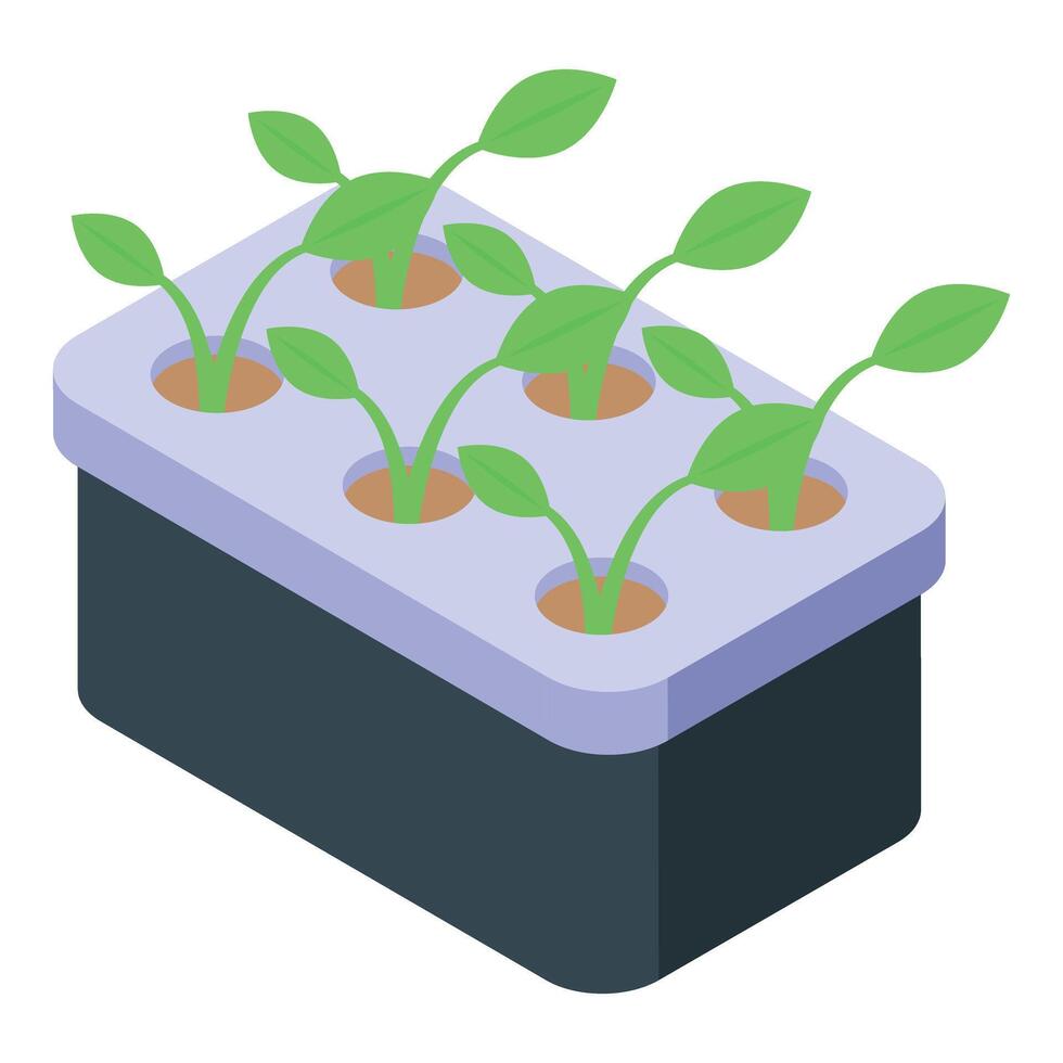 Isometric seedling tray with sprouts vector