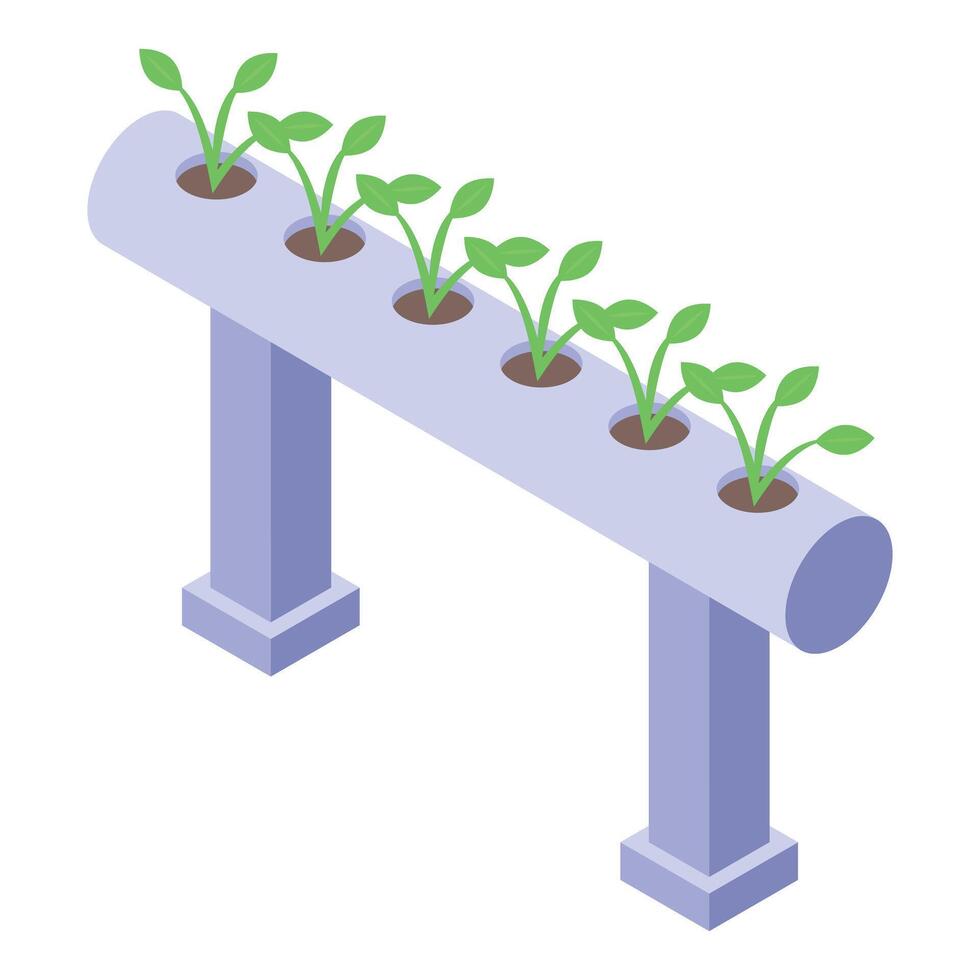 Isometric hydroponic plant system illustration vector
