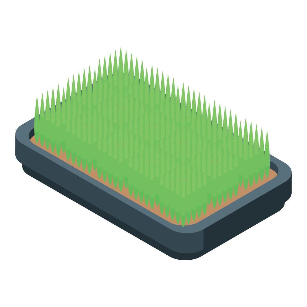 Digital illustration of an isometric view of a green acupuncture mat for health and wellness vector