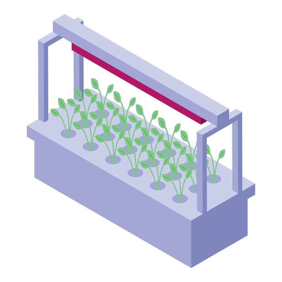 Isometric hydroponic plant growth system illustration vector