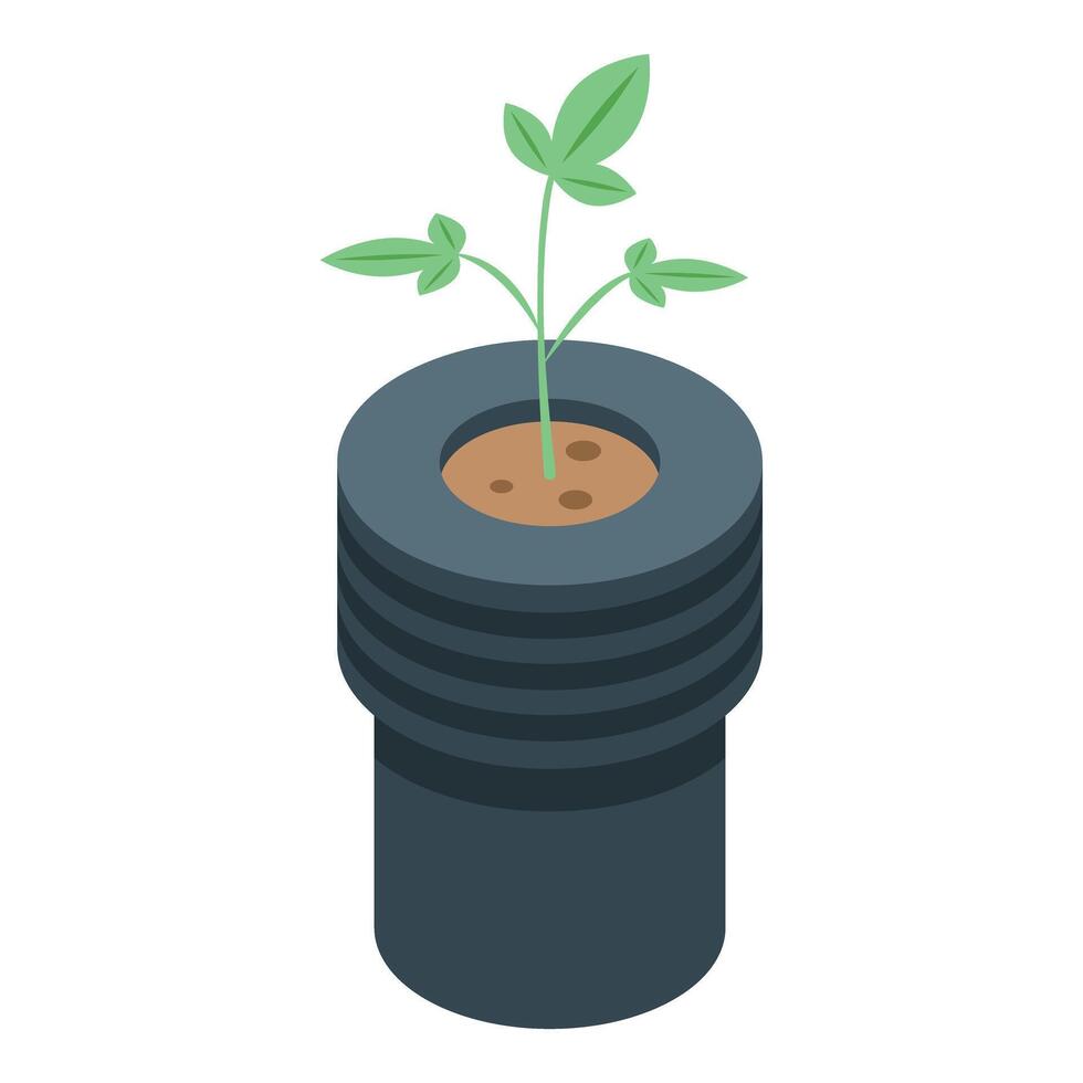 Green sprout emerging from soil in pot icon vector