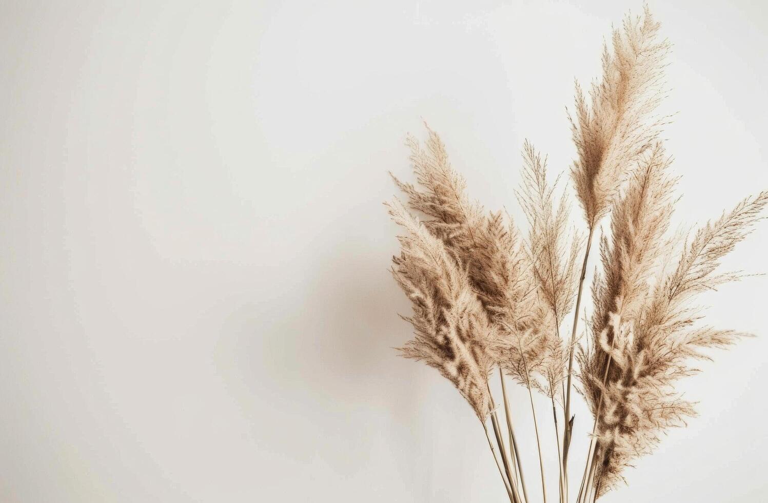 Vase Filled With White Flowers photo