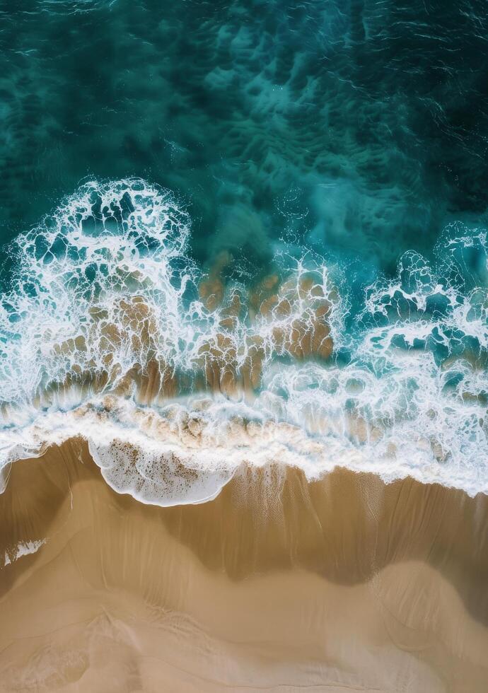 Aerial View of Beach and Ocean photo