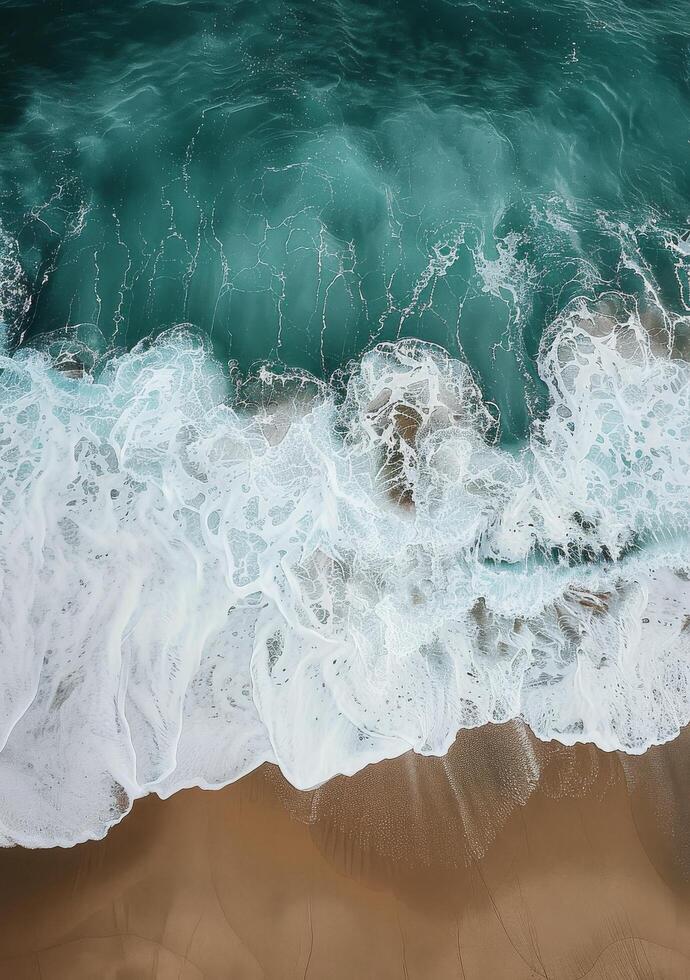 Aerial View of Beach and Ocean photo