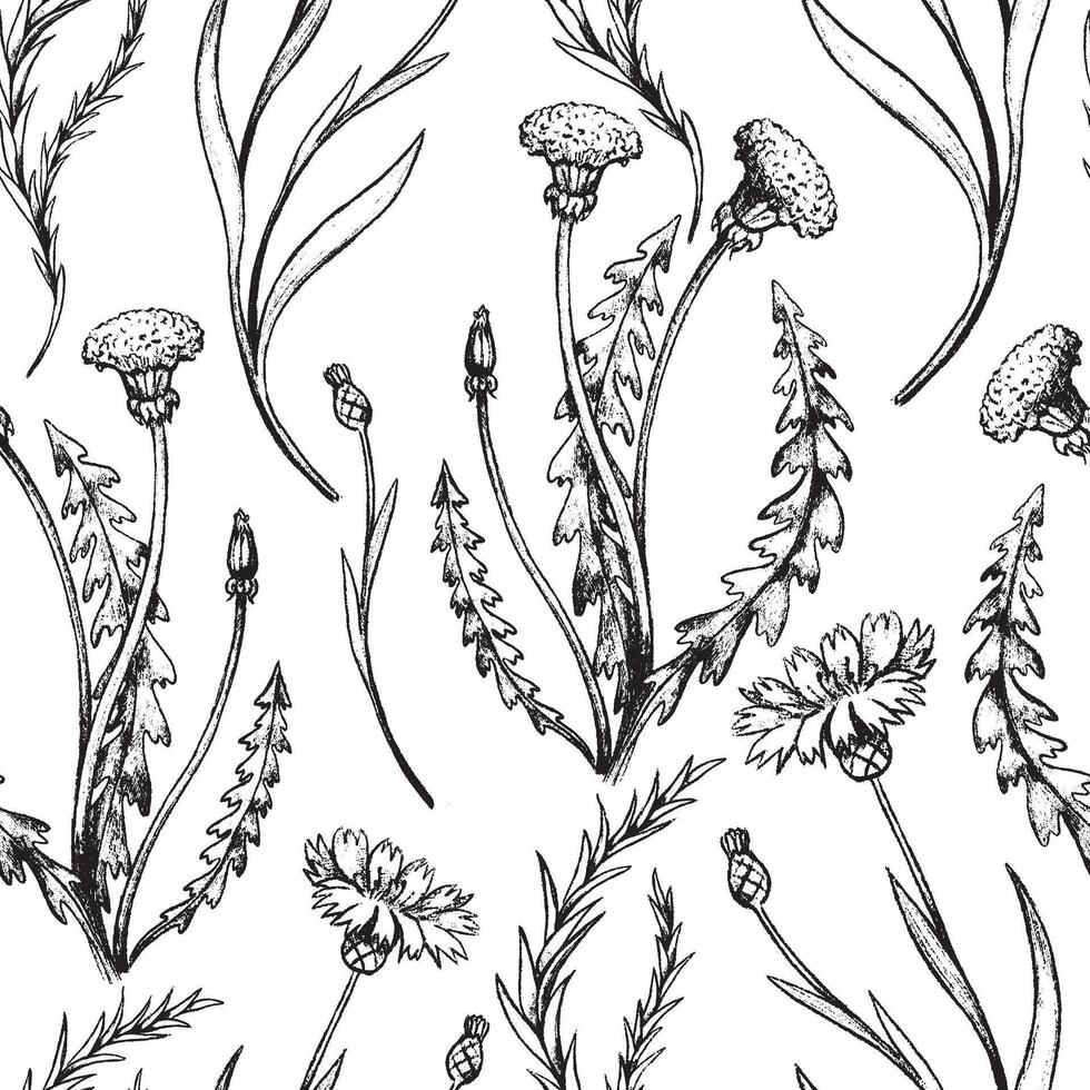 Vintage seamless pattern of dandelion, rosemary, cornflower. Field plants botanical ornament. vector