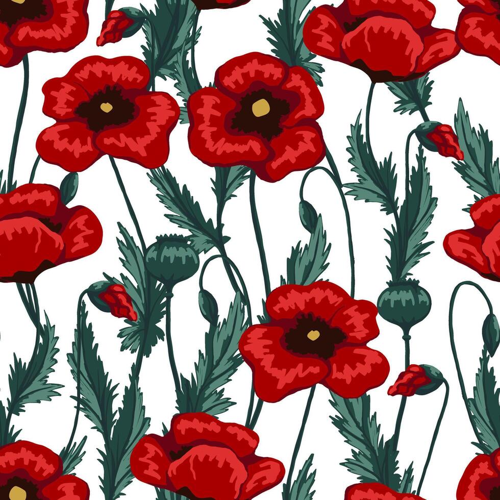 Poppy plants seamless pattern. Hand drawn floral illustration. Abstract botanical background. Wildflowers sketches. Vintage design for print, fabric, textile, wrapping, wallpaper, decor vector