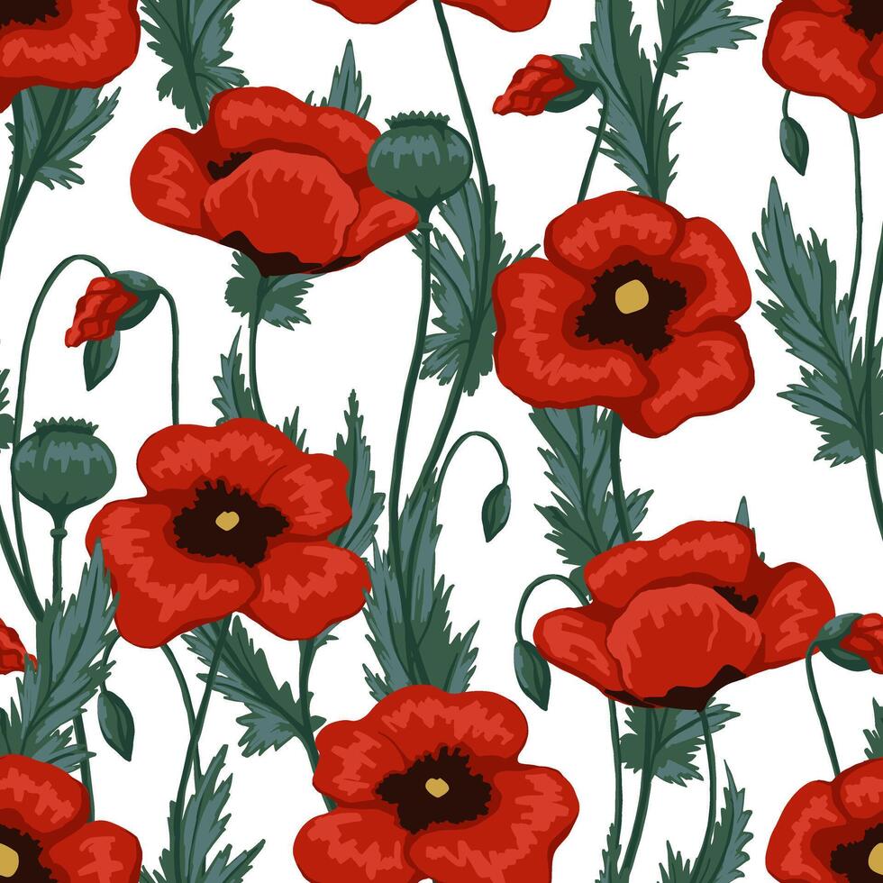 Poppy plants seamless pattern. Hand drawn floral illustration. Abstract botanical background. Wildflowers sketches. Vintage design for print, fabric, textile, wrapping, wallpaper, decor vector