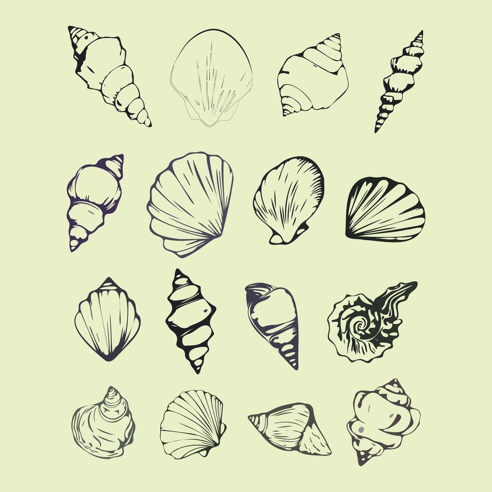 a set of hand drawn shells on a green background vector