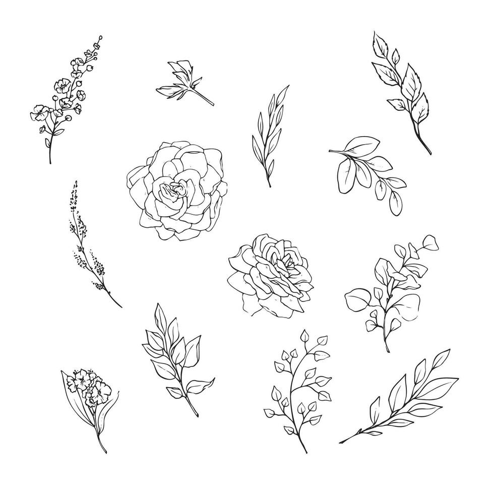 illustration of flowers and leaves in doodle handdraw style vector