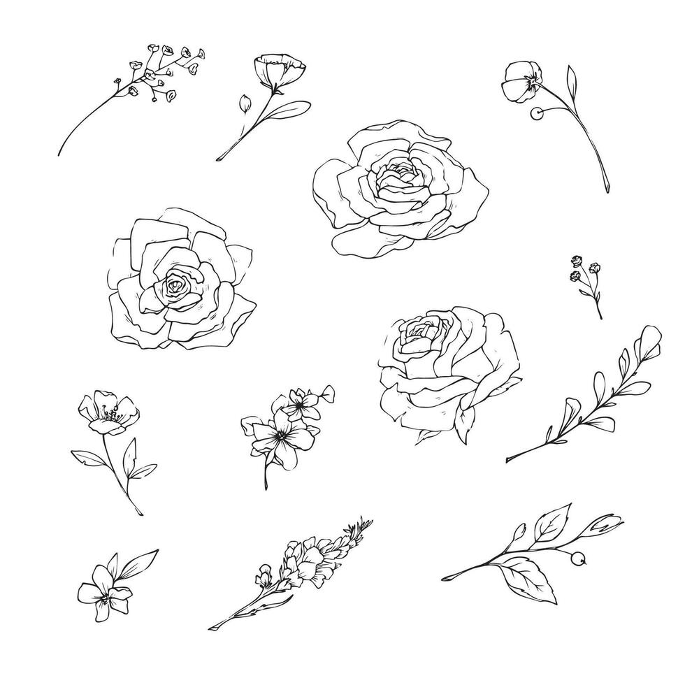 illustration of flowers and leaves in doodle handdraw style vector