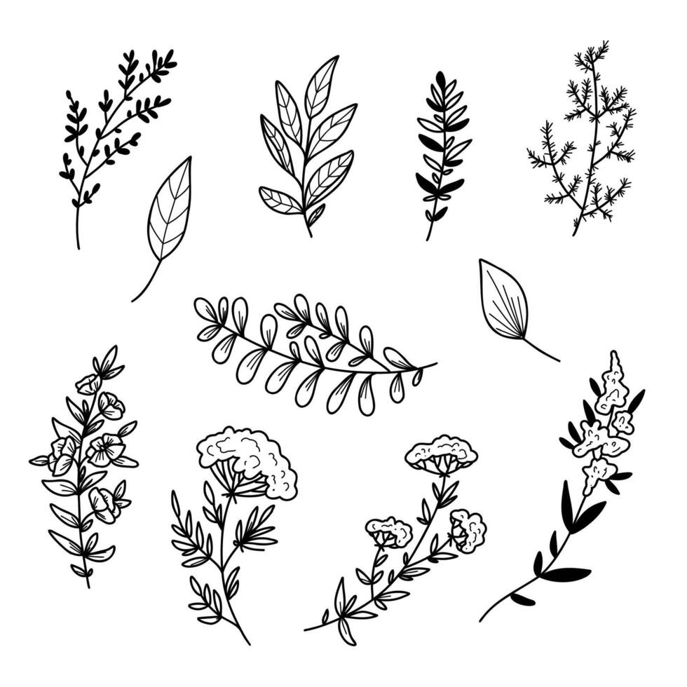 illustration of flowers and leaves in doodle handdraw style vector