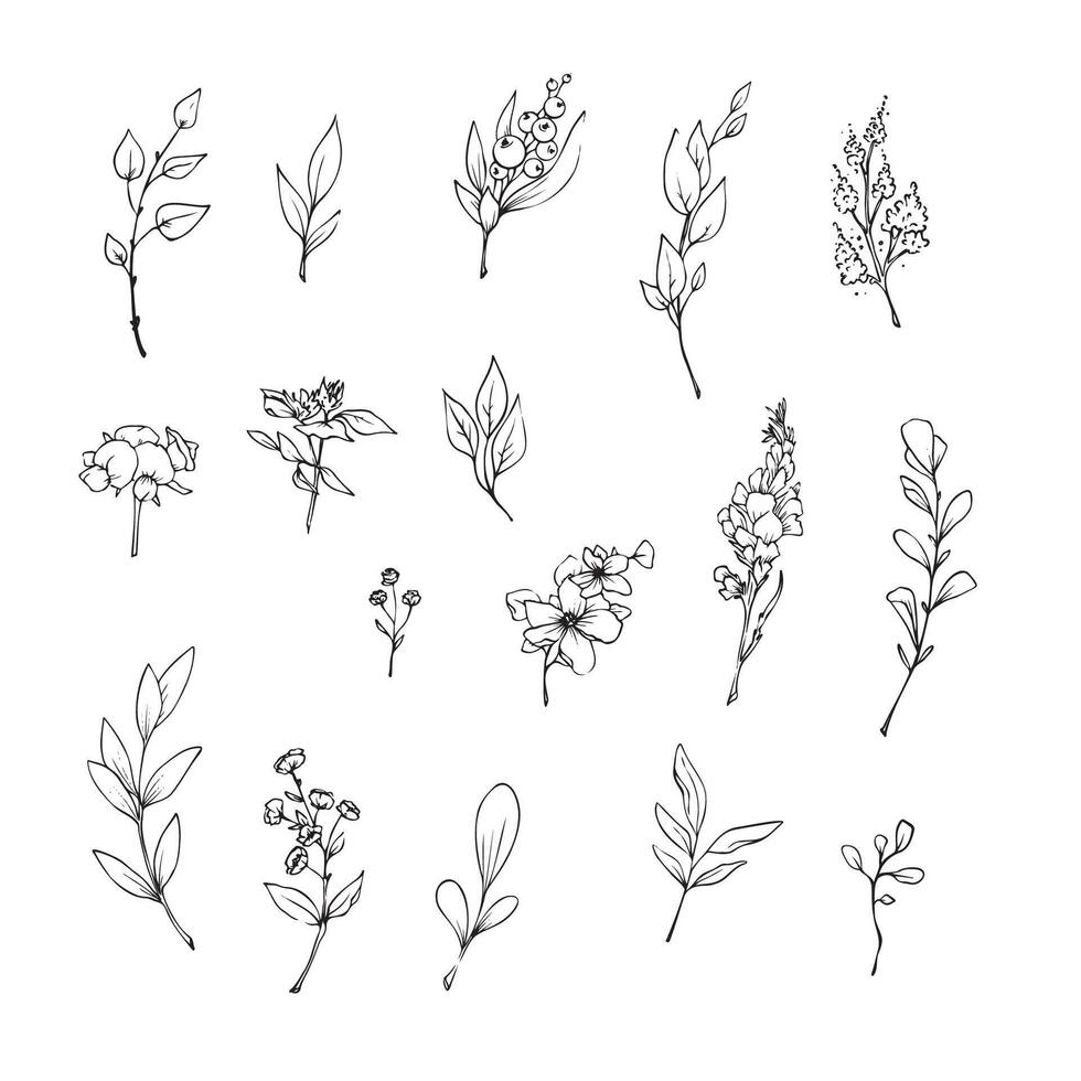 illustration of flowers and leaves in doodle handdraw style vector