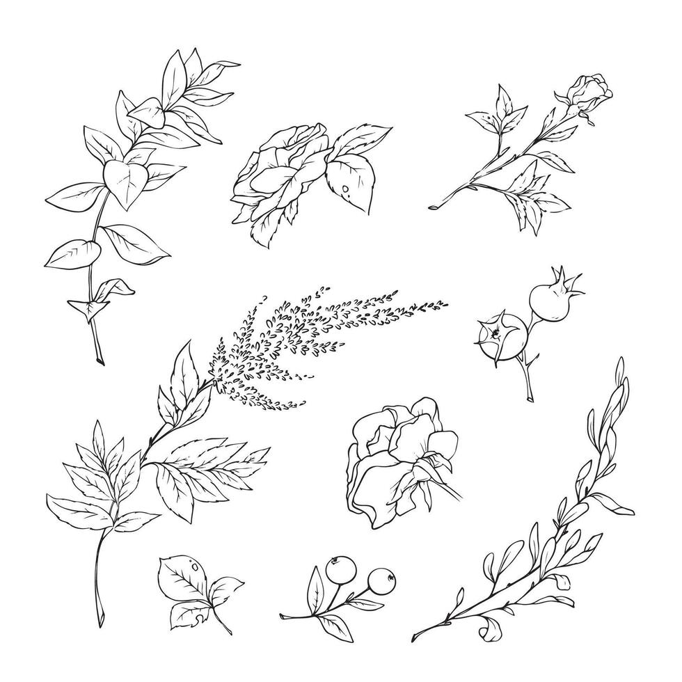 illustration of flowers and leaves in doodle handdraw style vector