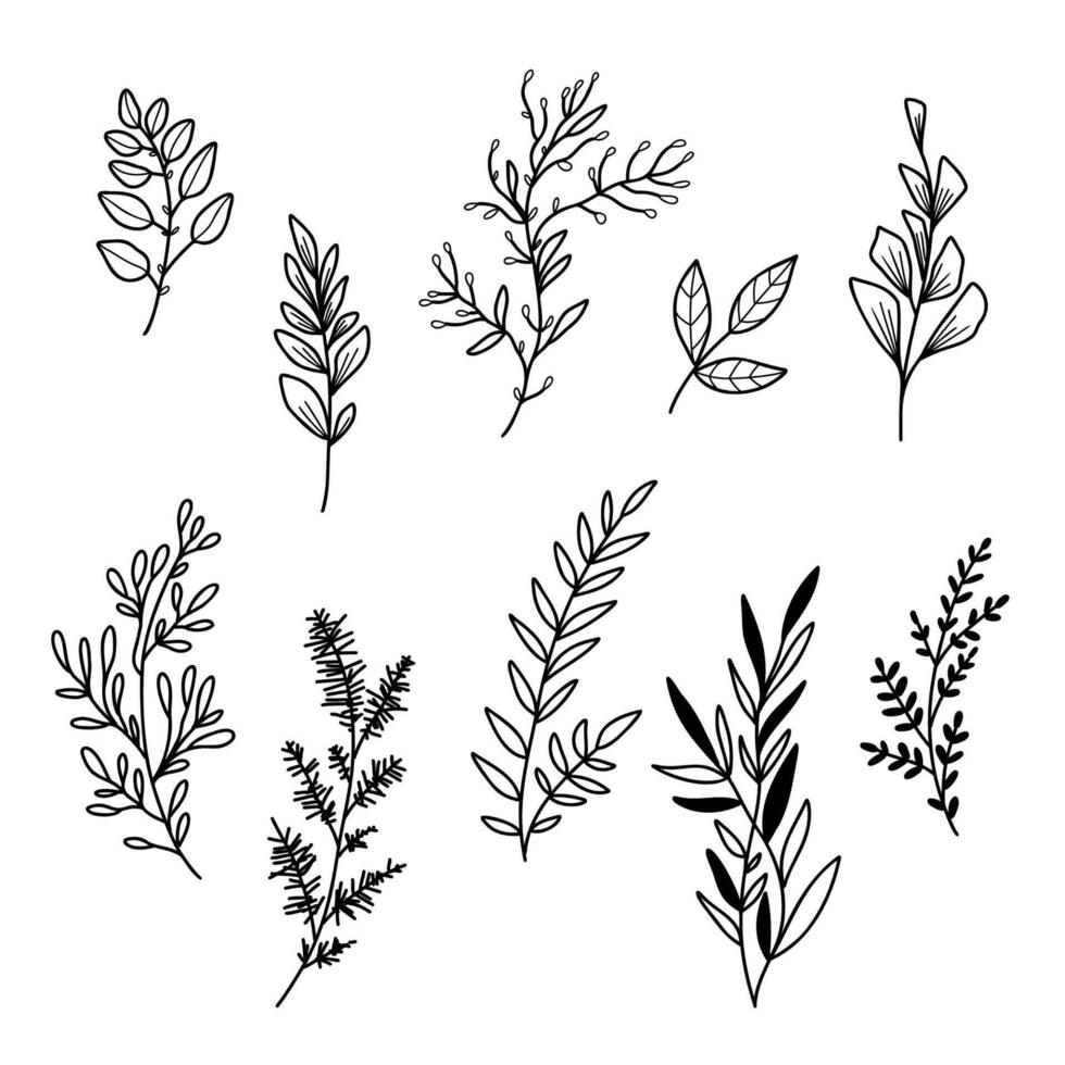 illustration of flowers and leaves in doodle handdraw style vector