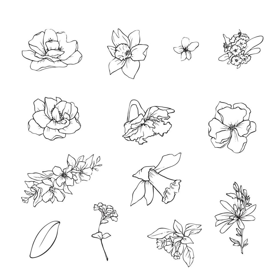 illustration of flowers and leaves in doodle handdraw style vector