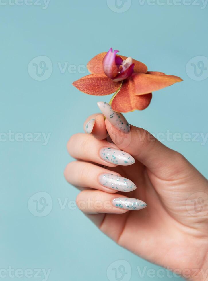 Female hands with blue nail design on blue pastel background photo