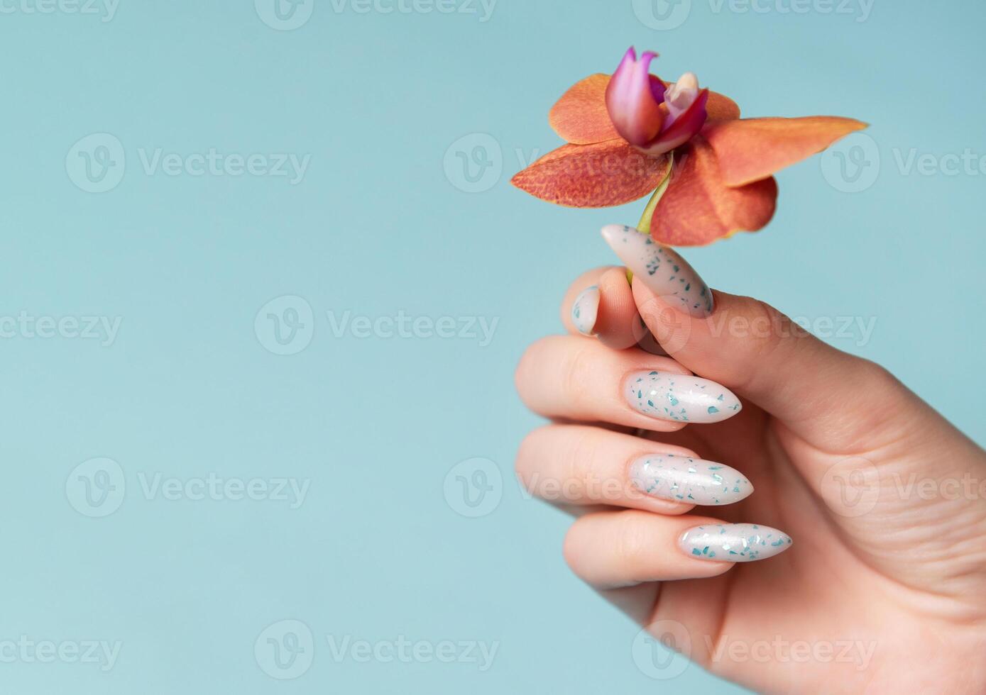 Female hands with blue nail design on blue pastel background photo