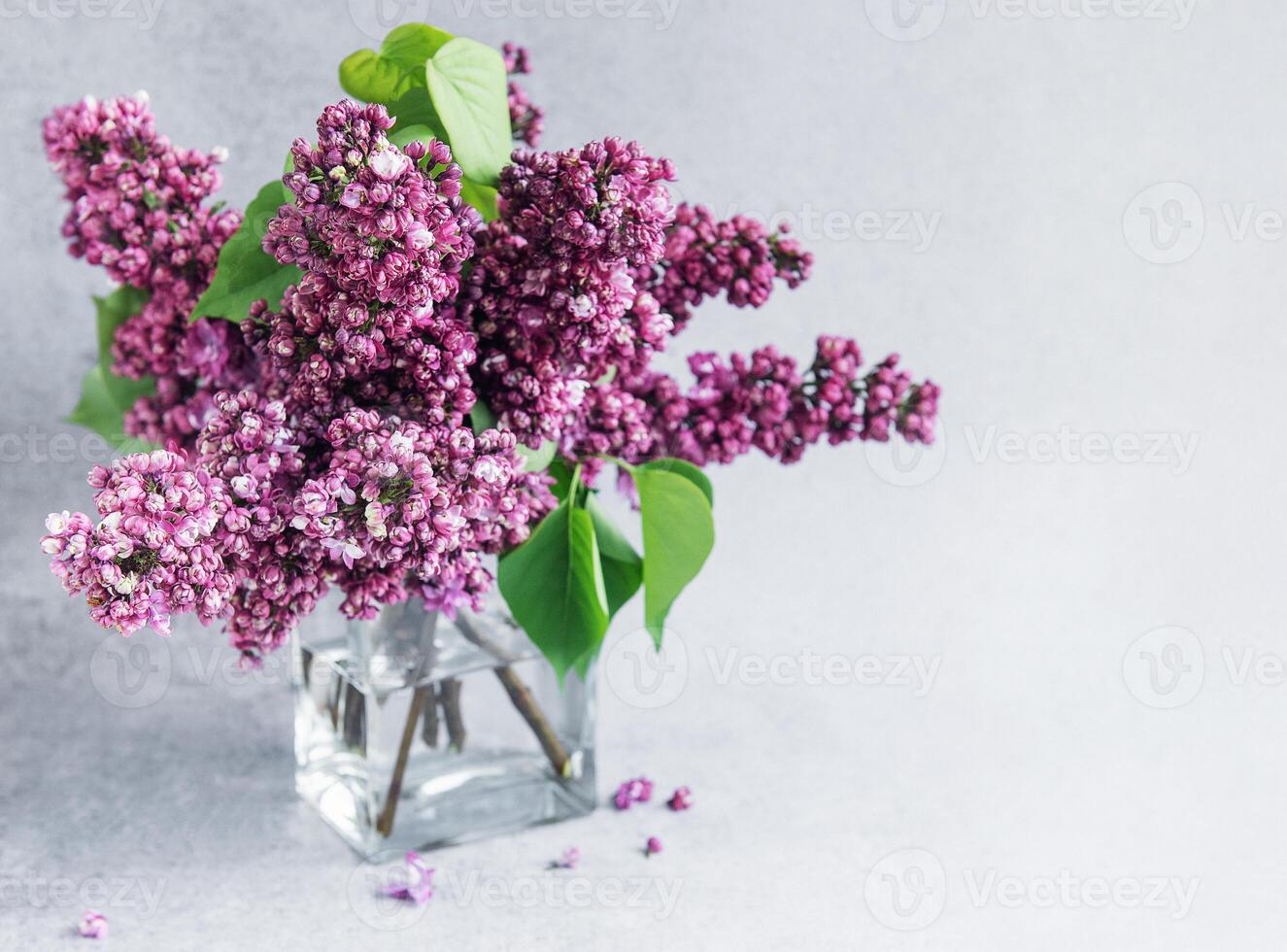 Lilac flowers on a vase photo