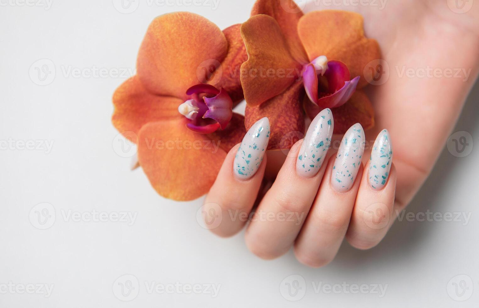 Female hands with blue nail design on white background. photo