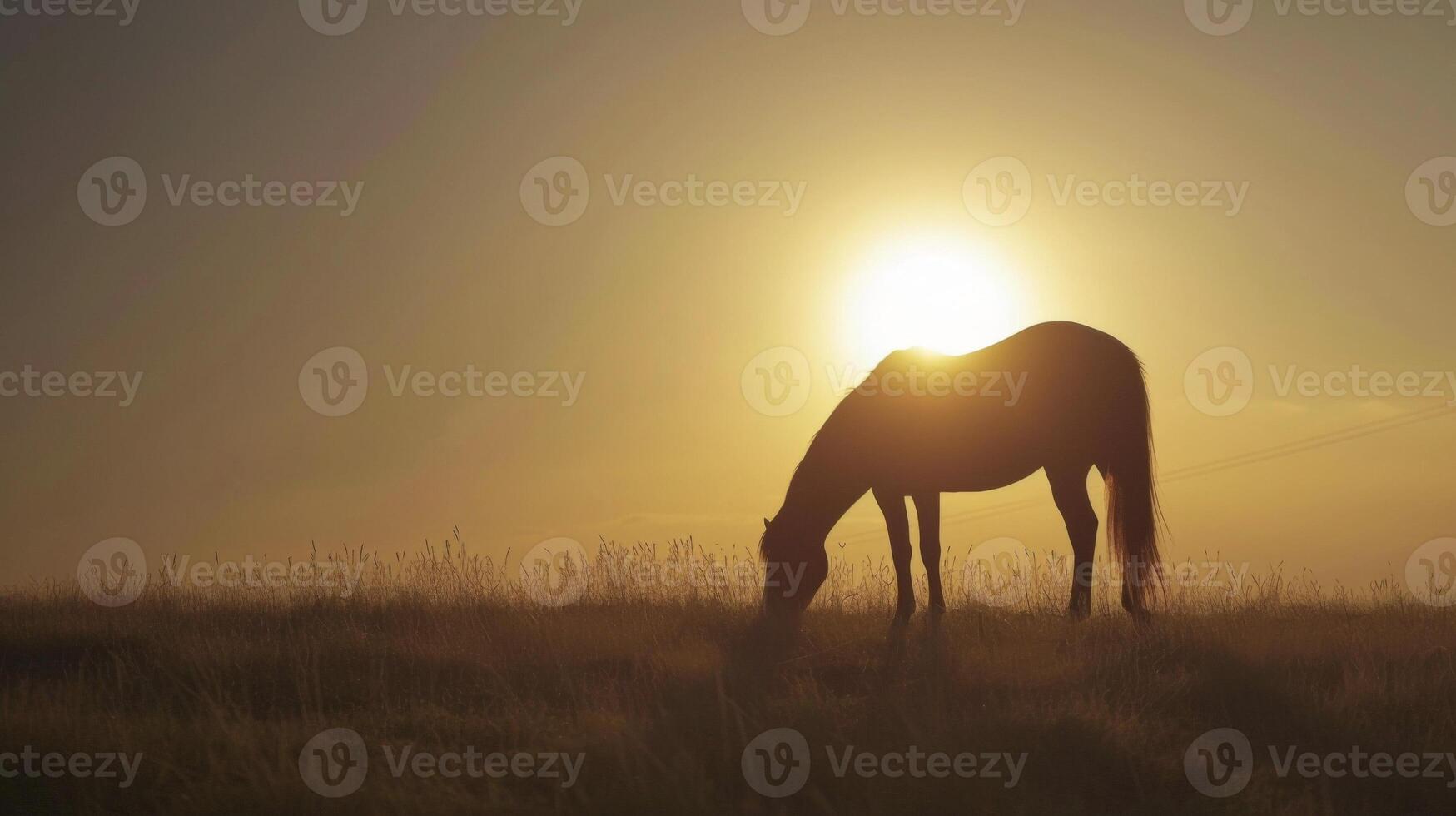 The silhouette of a lone horse grazes in a field as the sun sets a peaceful and idyllic scene on the open road photo
