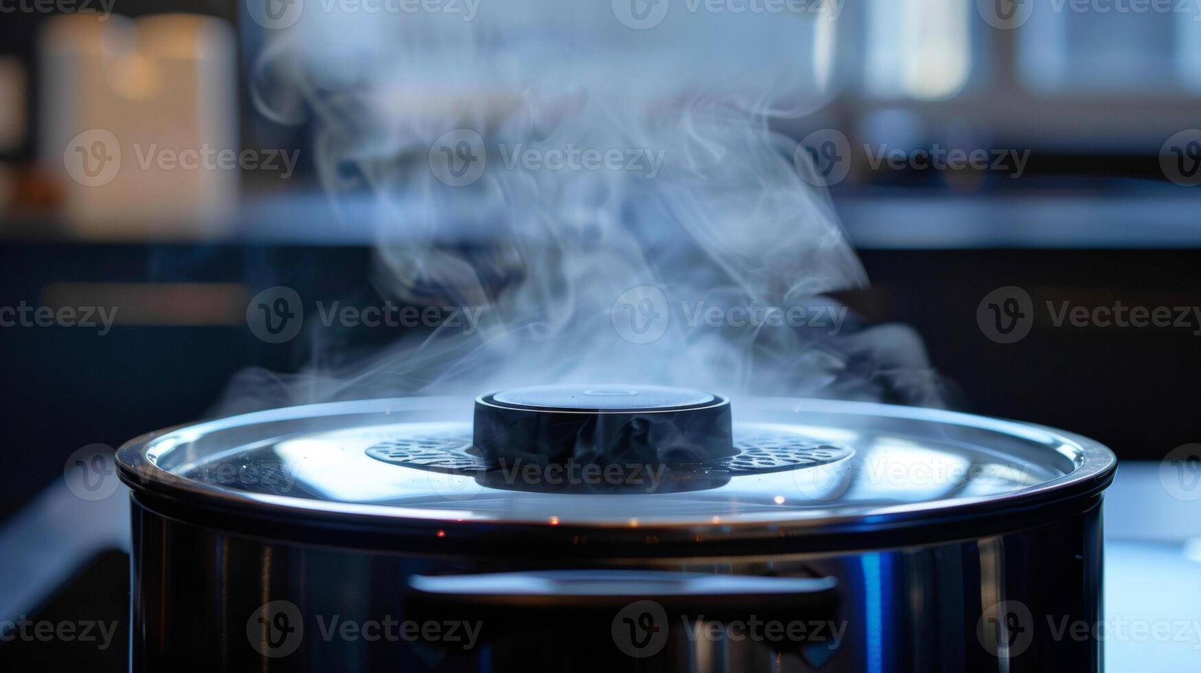 The steam vent located on the top of the lid releasing excess steam and preventing any mess or buildup photo