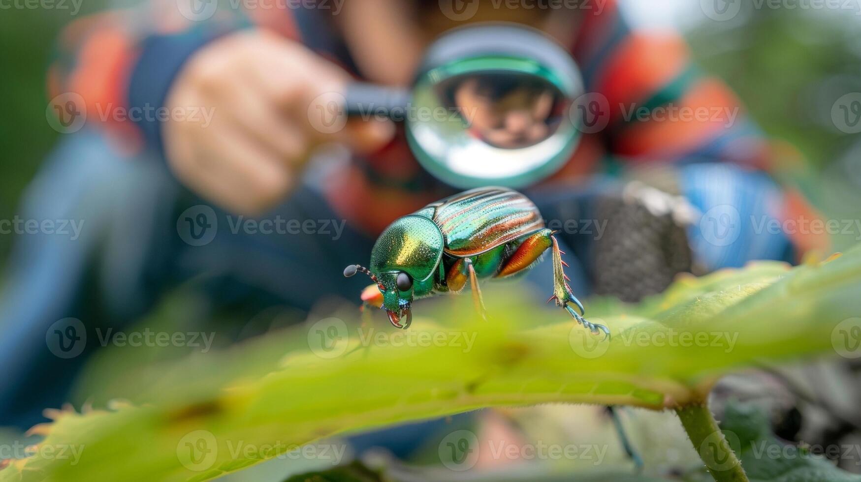 A student kneels down to examine a colorful beetle crawling on a leaf. With a magnifying glass in hand they are able to closely observe the intricate details and pattern photo