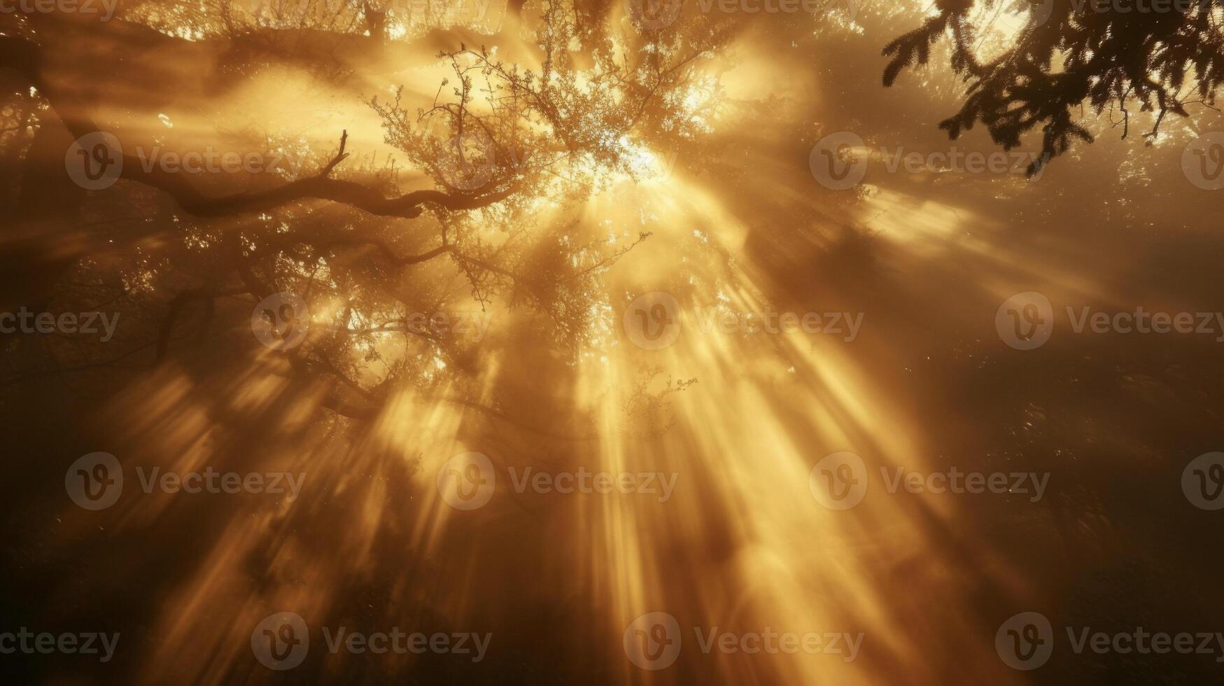 The mist swirls and dances in the first rays of sunlight creating an otherworldly sight photo