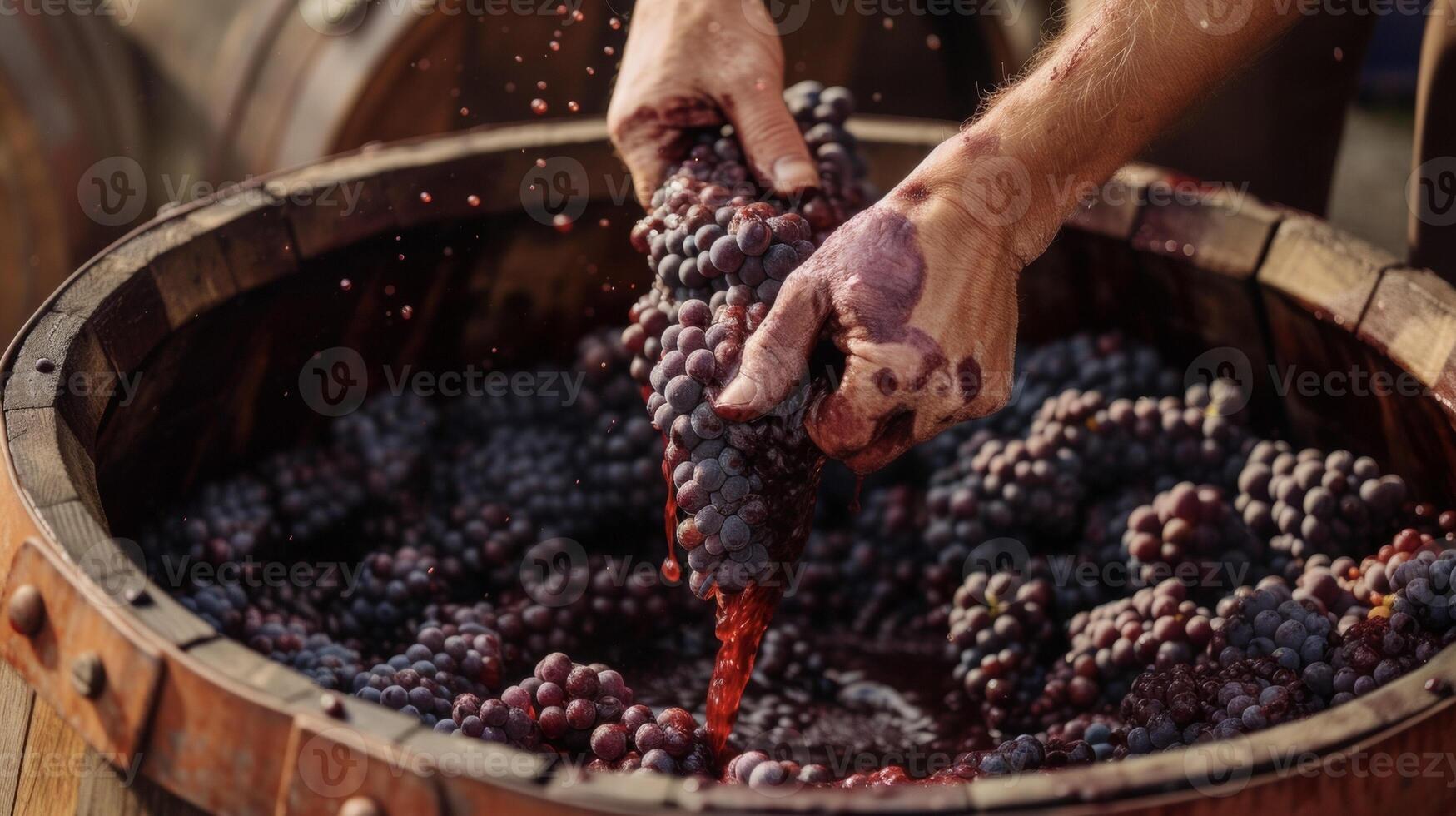 A closeup of a pair of hands crushing a of plump ripe gs into a large wooden barrel. The rich red juice streams through the fingers a labor of love and precision in the ar photo