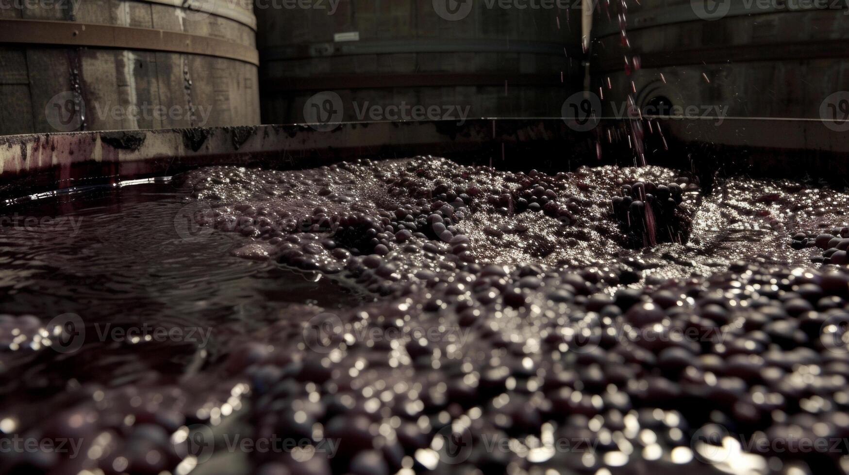 Thick dark g skins float atop a large vat of fermenting wine giving off a pungent aroma that fills the air photo