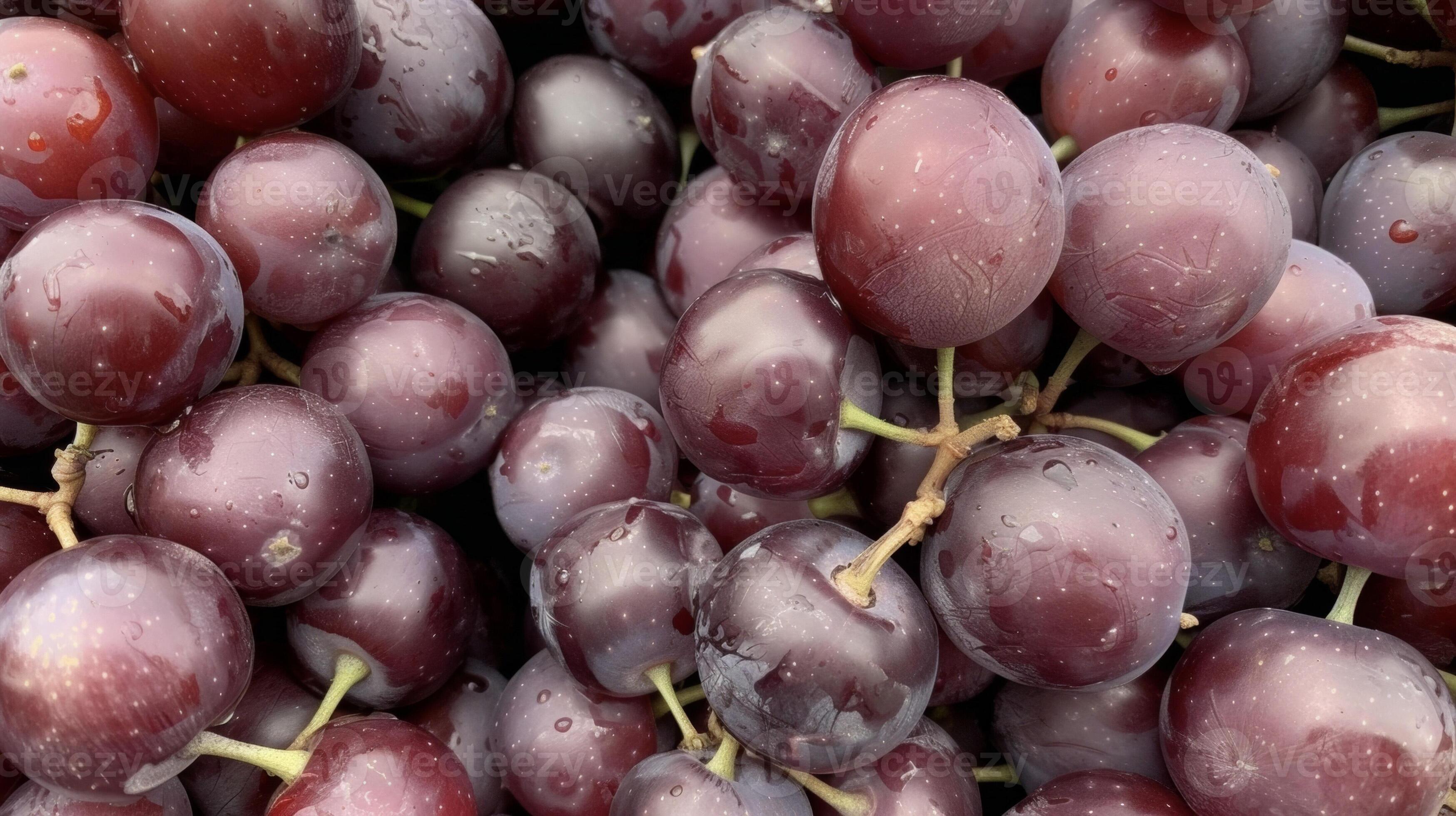 concord black and purple