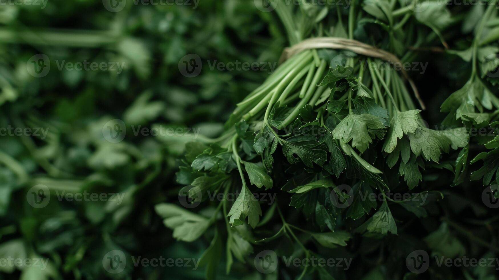 A closeup of a bundle of dark green herbs neatly tied with a string. The herbs emit a strong earthy scent photo