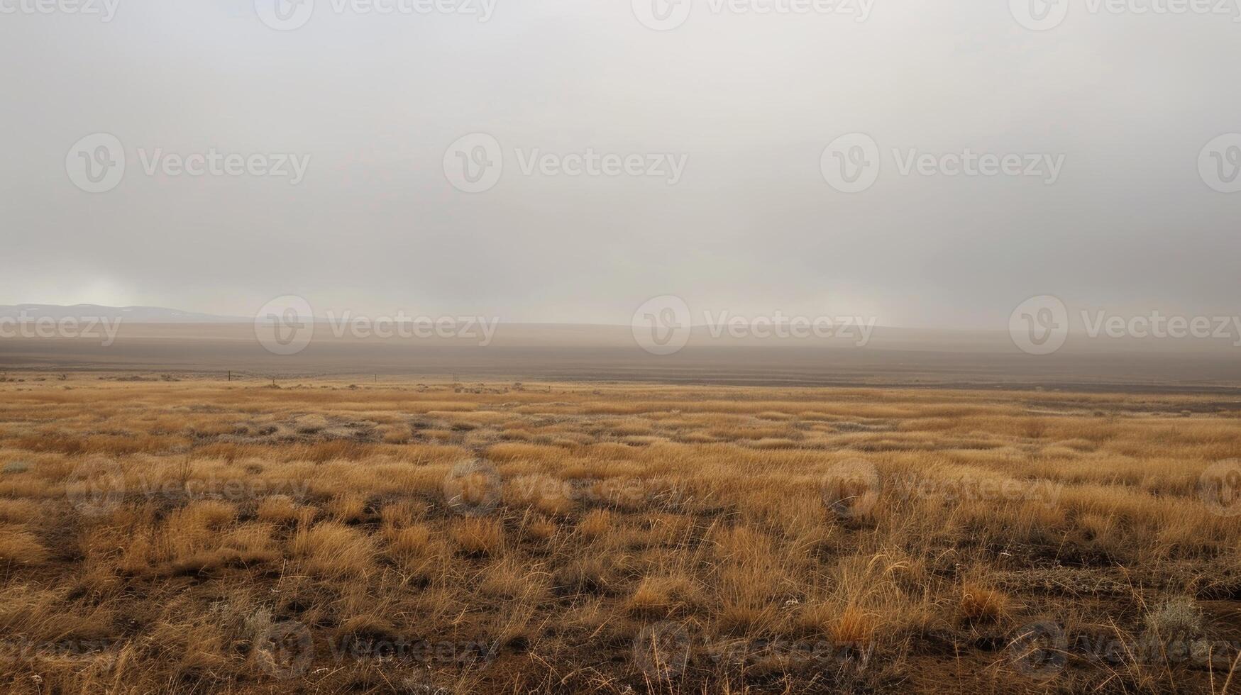 Visibility reduced to almost nothing as a ha rolls over a vast expanse of land photo