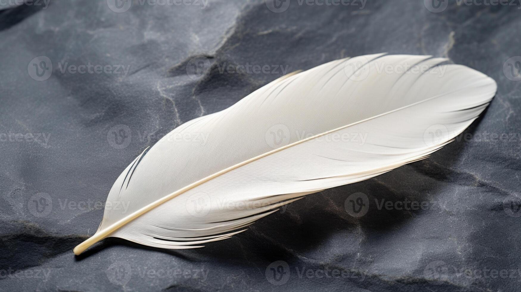 A creamy white feather rests on a bed of dark gray stones, symbolizing the contrast between light and darkness in both individuals and relationships. photo