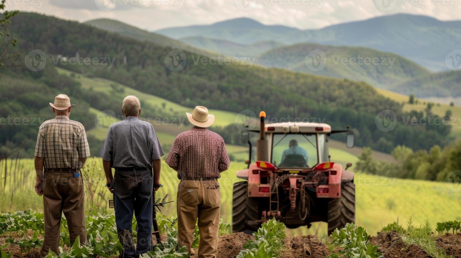 A group of older farmers backs turned to the camera gather around a tractor as they make plans for the days work. The rolling . photo