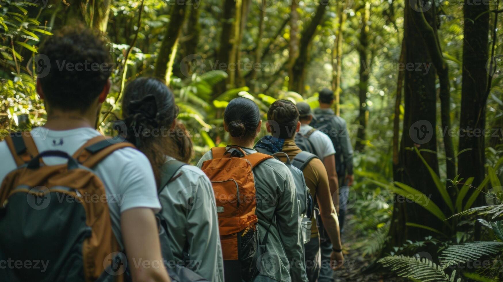 On the outskirts of the forest clearing we see a group of nature lovers walking side by side backs turned towards the camera . photo