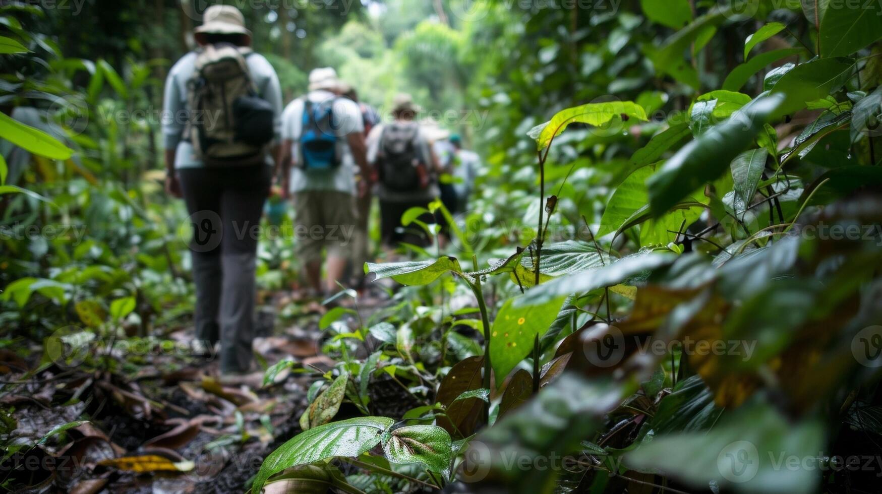 A group of researchers trek through a tropical rainforest taking measurements and yzing soil samples to better understand the diverse array of ecosystems that coexist within this lush photo